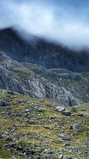 免费百度蜘蛛池小说截图4