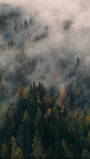 营销型网站建设企业营销型网站平台截图3