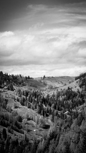 电子商务网站seo截图2