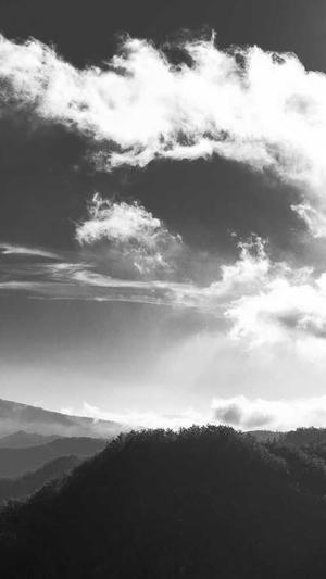 网站建设套餐截图1