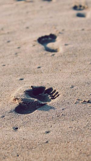 山西省住房建设厅网站截图4