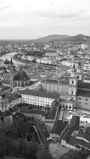 蜘蛛池搭建多少钱截图4