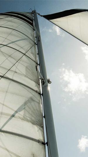 搜外网seo工具大全截图3