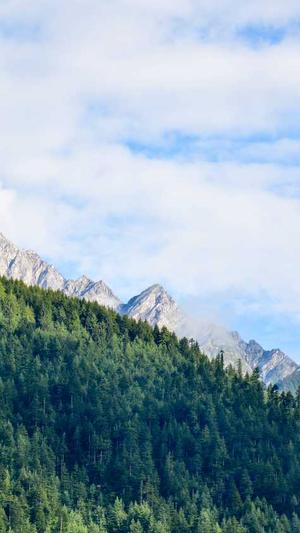 搜索留痕百度蜘蛛池截图3