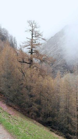 泛目录哪个平台好截图1