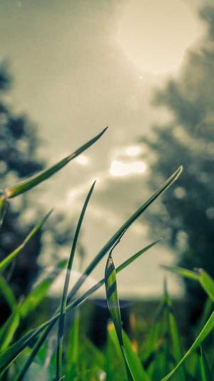 抖音seo工具截图1