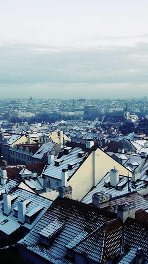 蜘蛛池租用服务截图3