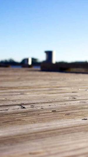 360蜘蛛池怎么搭建截图2