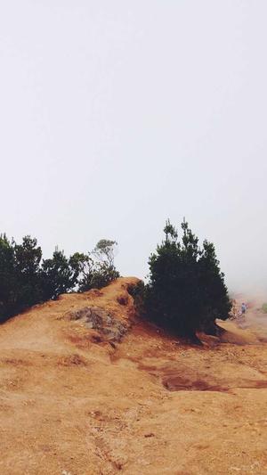 宁夏网站建设截图3