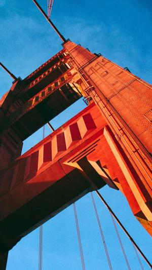 站长工具seo推广 站长工具查询截图1