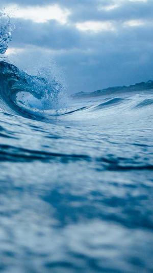 seo站长工具排名查询截图1