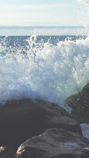 seo历史趋势查询工具截图1