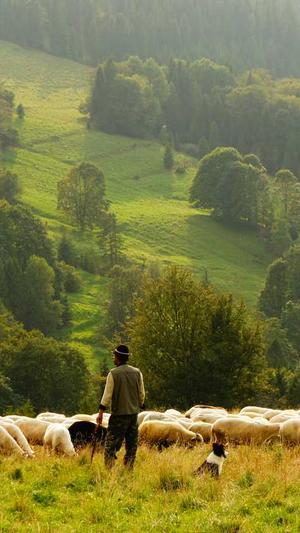 seo常用工具网站截图3