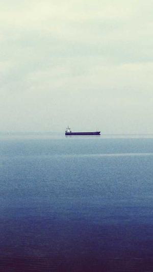 蜘蛛池要多少个域名截图1