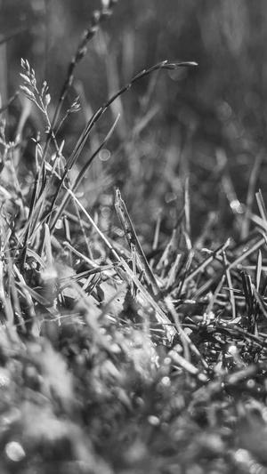 逆冬蜘蛛池课程截图4