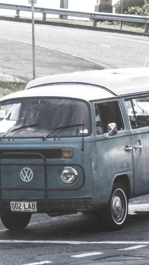 红蜘蛛池在哪里看蜘蛛截图2