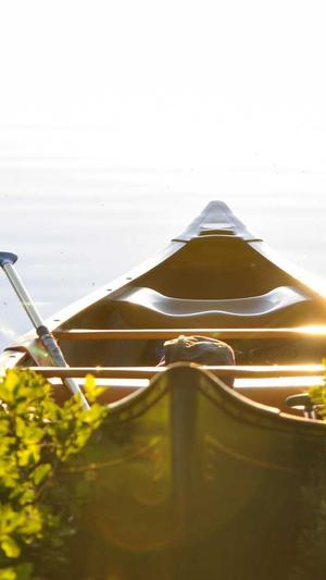 蜘蛛矿池无法注册截图2