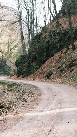 给力蜘蛛池效果怎样截图2