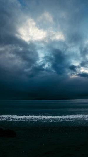 排名软件蜘蛛池截图4