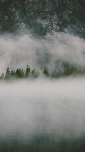 廊坊网站建设截图1