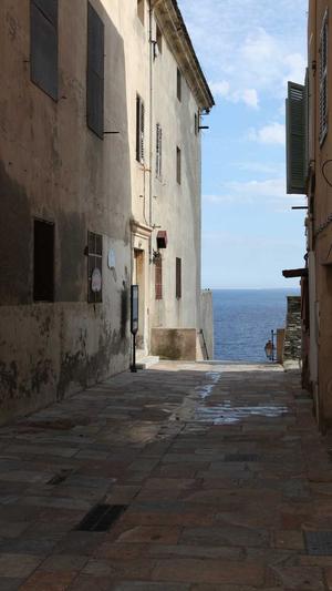 免费蜘蛛池网页版登录截图5