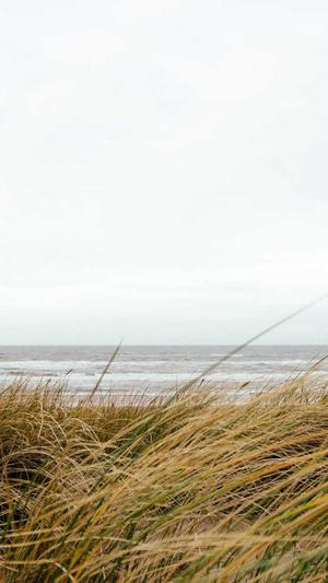 关键词排名查询工具seo截图2