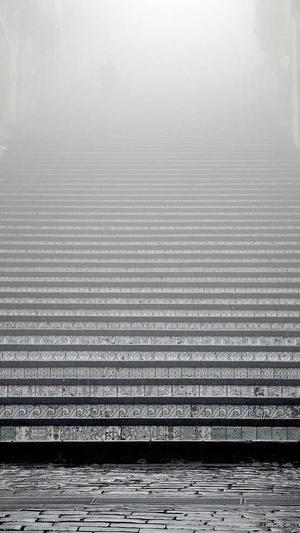 seo排名软件截图1