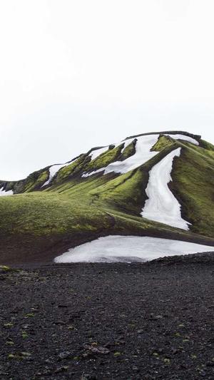 莲花泛目录截图4