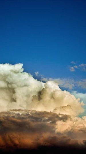 网站建设合同截图1