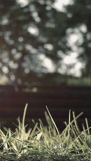 seo站群如何操作蜘蛛池截图4