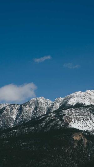 蜘蛛池多少钱一只截图2