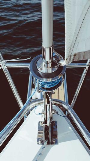 蜘蛛池怎么卖截图5