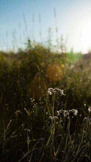 泛目录排名原理及讲解截图5