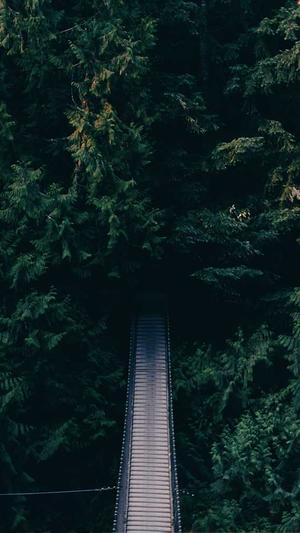 seo站群如何操作蜘蛛池截图3