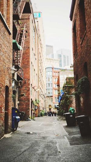 php单页泛目录站群截图2