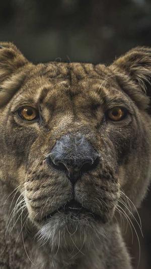 安庆网站建设截图2