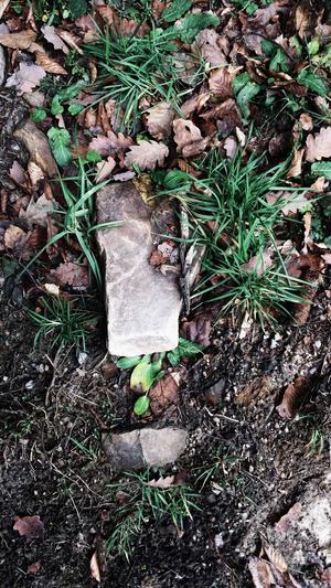 蜘蛛矿池app截图1