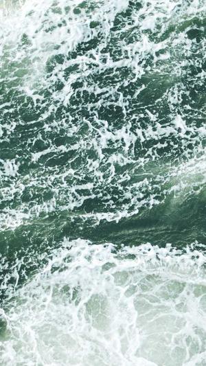 seo优化考核截图2