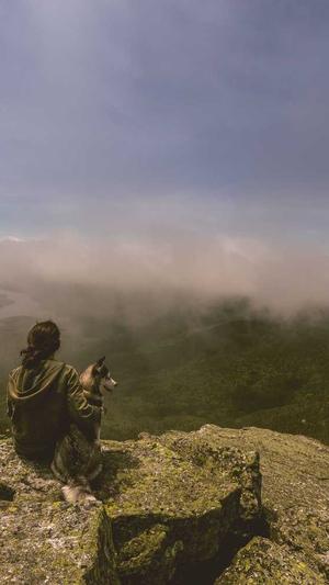 网站seo诊断截图3