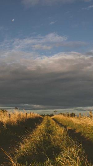 b2b网站建设截图2