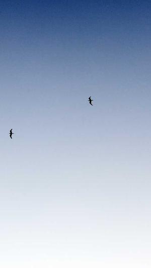 学习seo有用吗截图2