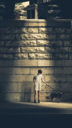 2020泛目录程序源码截图2