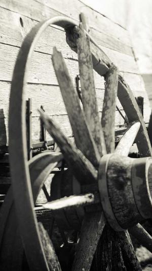 seo优化检查工具截图3