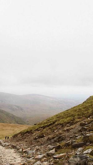 蜘蛛池多少钱一只截图4