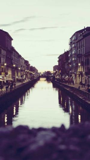 旺道seo优化工具截图2