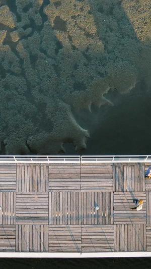 seo泛目录怎么操作发帖截图3