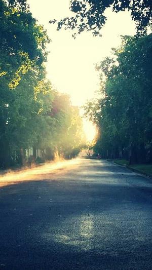 厦门seo优化截图1