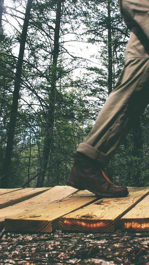 租一天百度蜘蛛池截图3