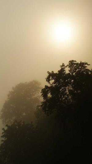 seo研究协会网截图3