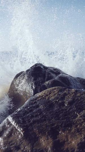 蜘蛛池搭建图解教程图截图4